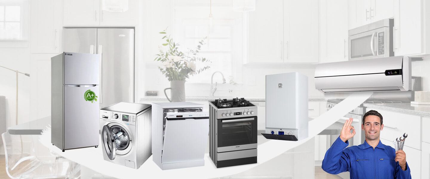 Çine Electrolux Servisi